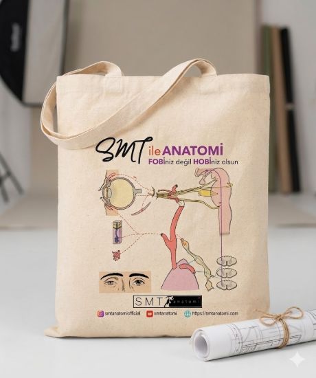 SMT Anatomi Kanvas Kumaş Taşıma Çantası resmi